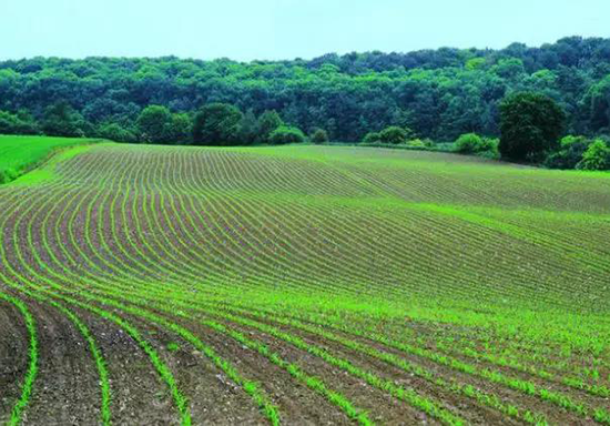 智能灌溉系統 智能灌溉系統